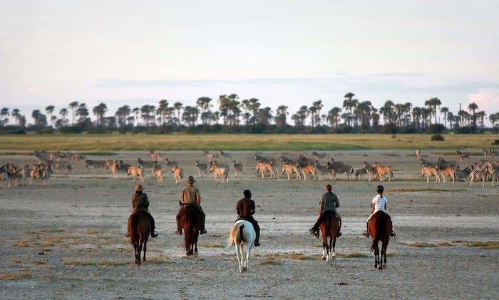Horseback Riding Safari at Jacks Camp, Botswana